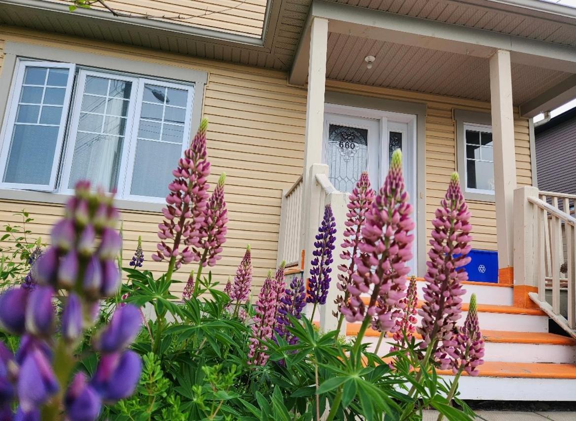 Maison Chaleureuse, Energetique Et Florale Sherbrooke Exterior photo